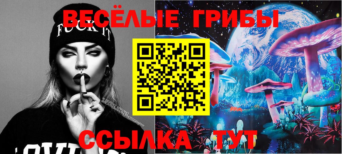 Псилоцибиновые грибы прущие грибы Грозный
