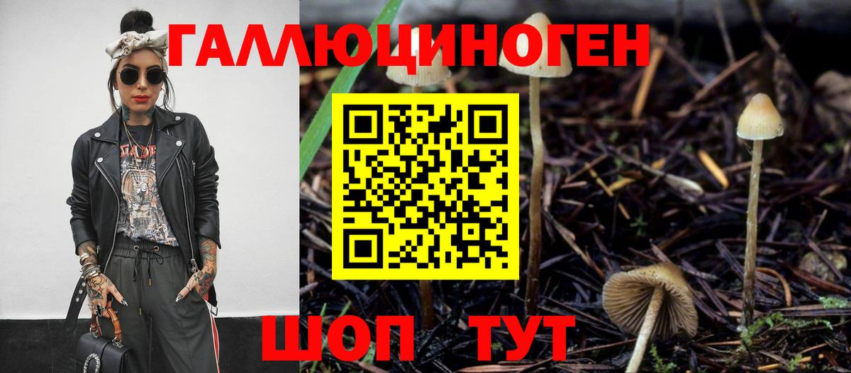 что такое   Галлюциногенные грибы Magic Shrooms  Вход с VPN  Грозный  Псилоцибиновые грибы прущие грибы 